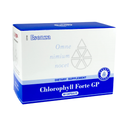 Chlorophyll Forte GP 90 kaps. Maisto papildas