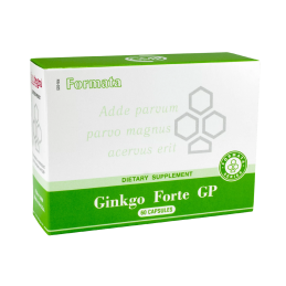 Ginkgo Forte GP